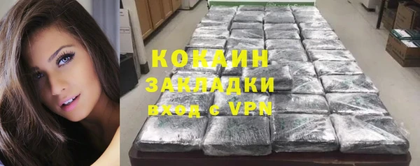 спайс Тавда